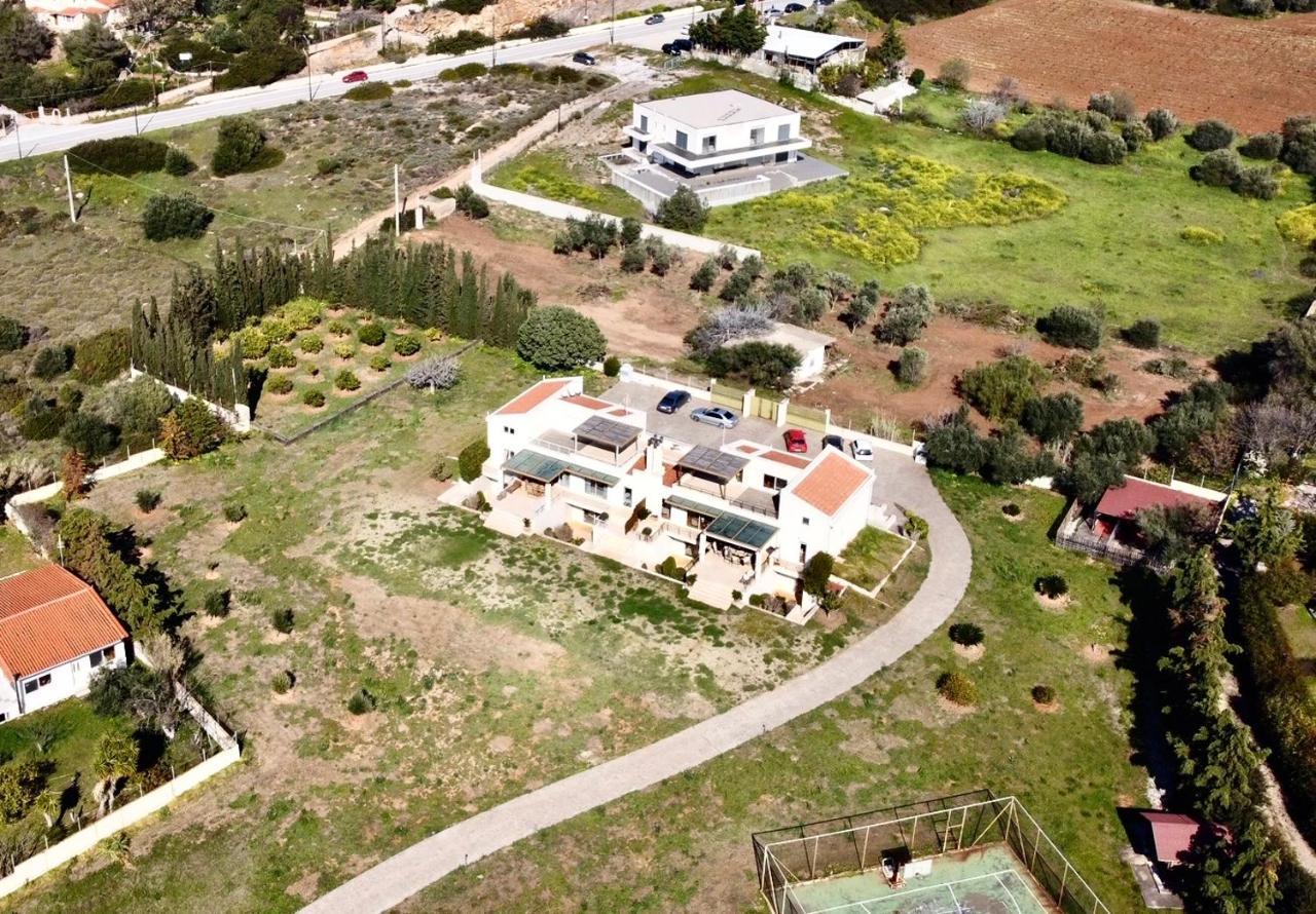 Legrena Beach Villa 苏尼翁 外观 照片