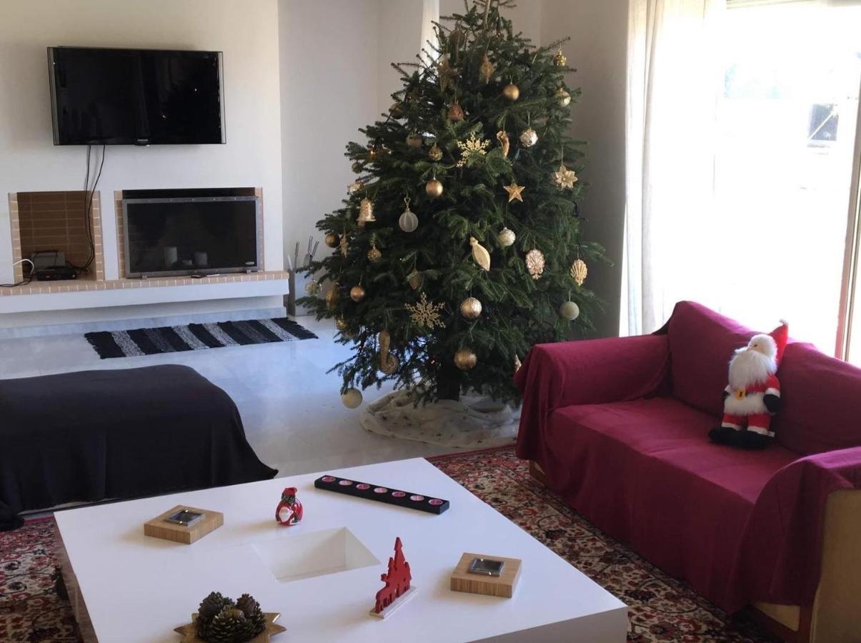 Legrena Beach Villa 苏尼翁 外观 照片