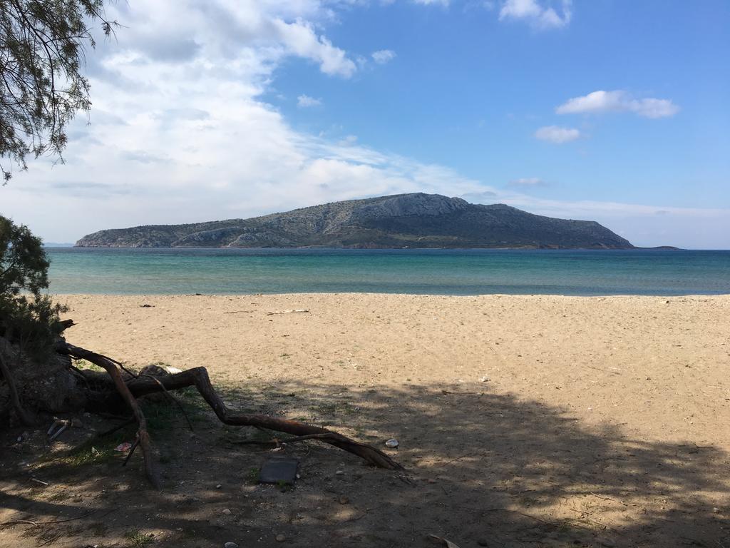 Legrena Beach Villa 苏尼翁 外观 照片