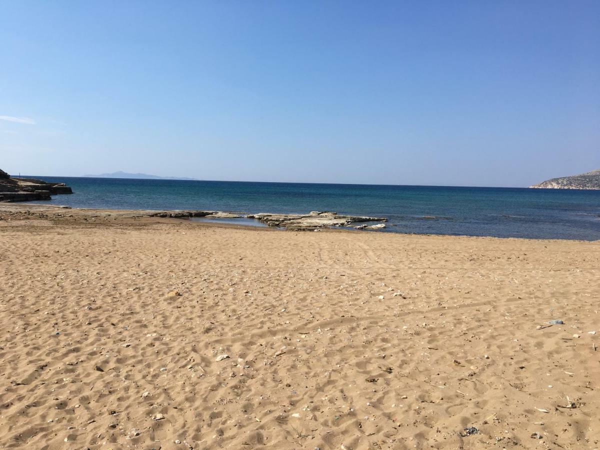 Legrena Beach Villa 苏尼翁 外观 照片
